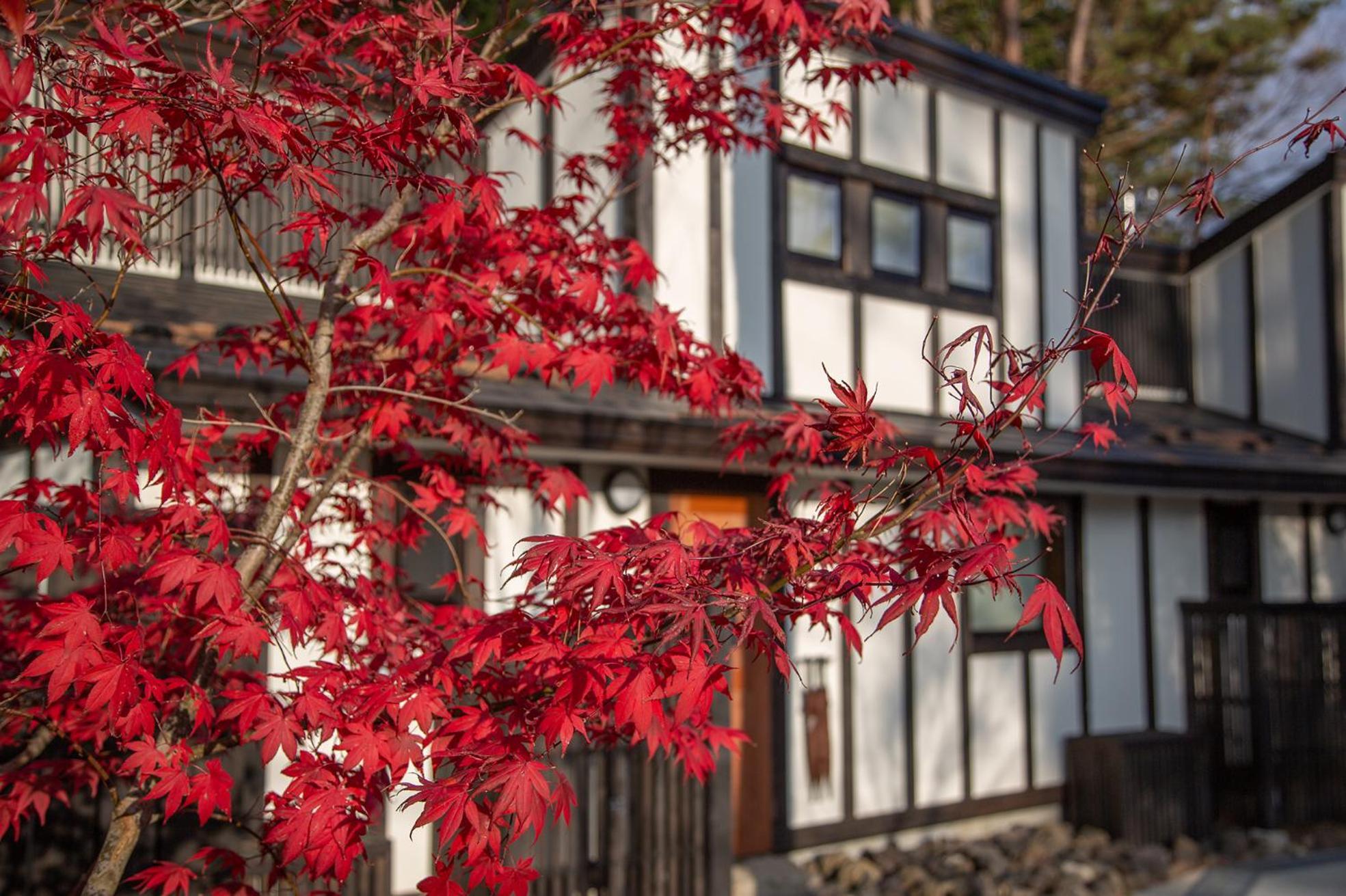 Glamping Villa Hanz Kawaguchiko Fujikawaguchiko Bagian luar foto